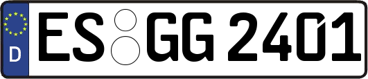 ES-GG2401