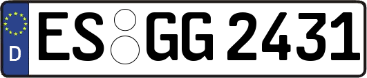ES-GG2431
