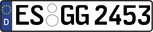 ES-GG2453