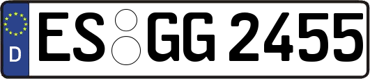 ES-GG2455