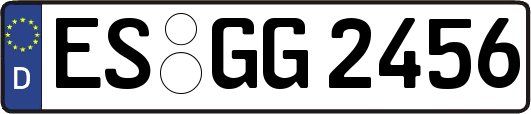ES-GG2456