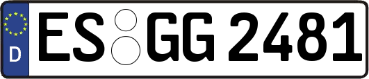 ES-GG2481