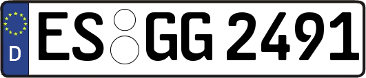 ES-GG2491