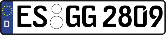 ES-GG2809
