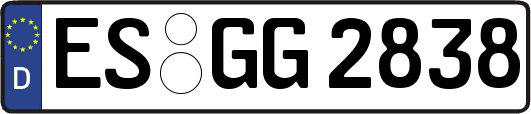 ES-GG2838