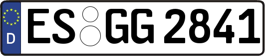 ES-GG2841