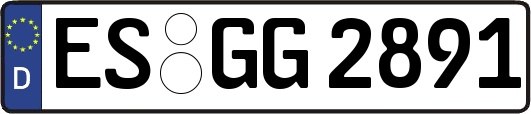 ES-GG2891