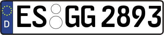ES-GG2893