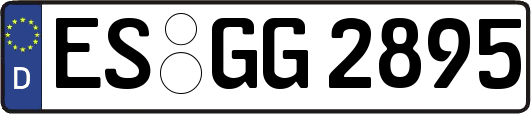 ES-GG2895