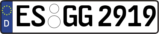 ES-GG2919