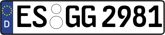 ES-GG2981