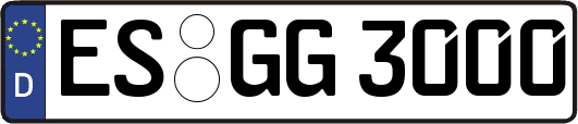 ES-GG3000
