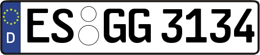 ES-GG3134