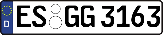 ES-GG3163