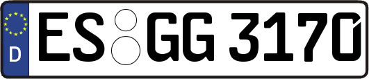 ES-GG3170