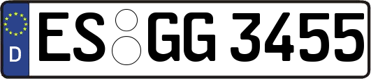ES-GG3455