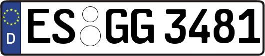 ES-GG3481