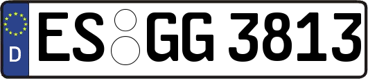 ES-GG3813