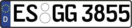 ES-GG3855
