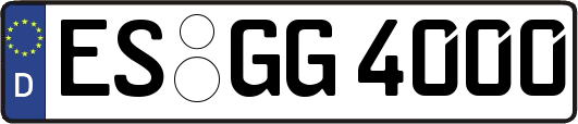 ES-GG4000