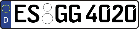 ES-GG4020