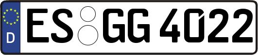 ES-GG4022