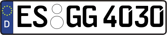ES-GG4030
