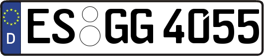 ES-GG4055