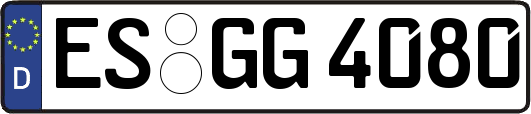 ES-GG4080