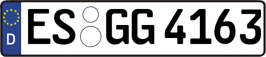 ES-GG4163