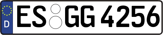 ES-GG4256