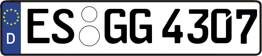 ES-GG4307