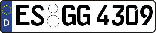 ES-GG4309