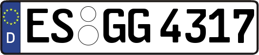 ES-GG4317