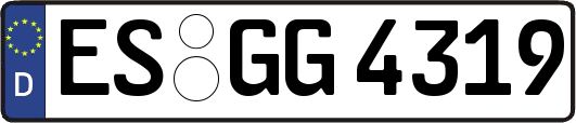 ES-GG4319