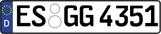 ES-GG4351