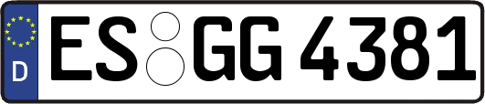 ES-GG4381