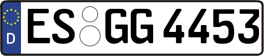 ES-GG4453