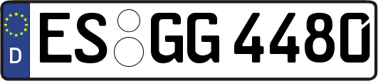 ES-GG4480