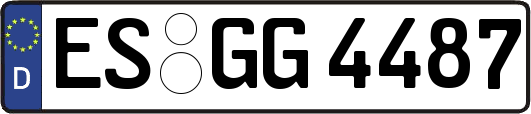 ES-GG4487