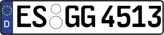 ES-GG4513