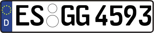 ES-GG4593