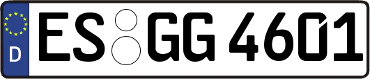 ES-GG4601