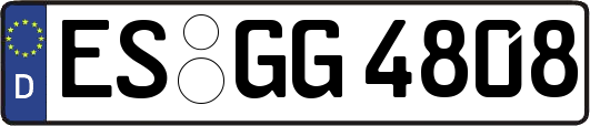 ES-GG4808