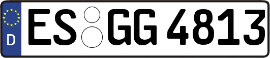 ES-GG4813