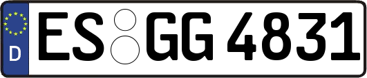ES-GG4831