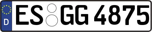 ES-GG4875
