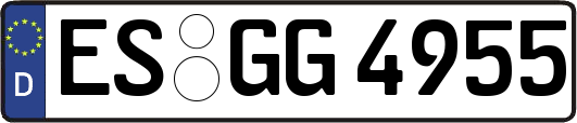 ES-GG4955