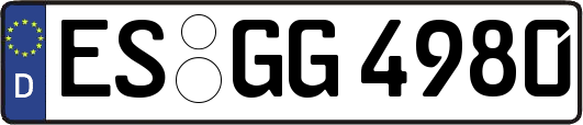 ES-GG4980
