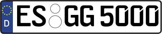 ES-GG5000
